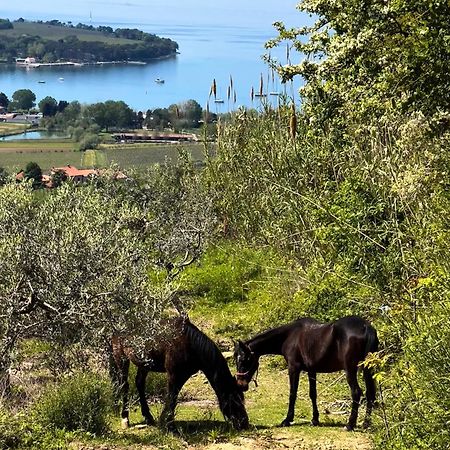 Na Kmetiji S Konji - Pogelsek Appartement Ankaran Buitenkant foto