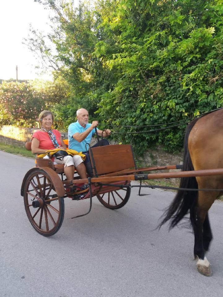 Na Kmetiji S Konji - Pogelsek Appartement Ankaran Buitenkant foto